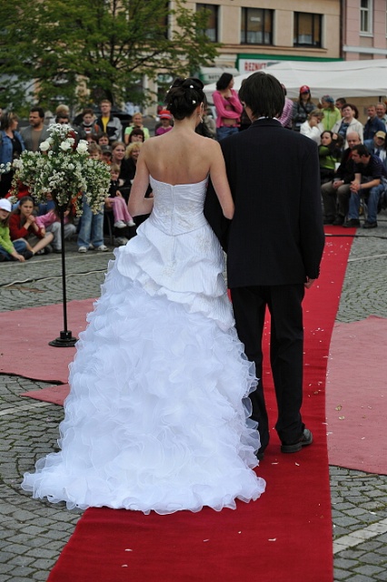 SDČ 12.jpg
